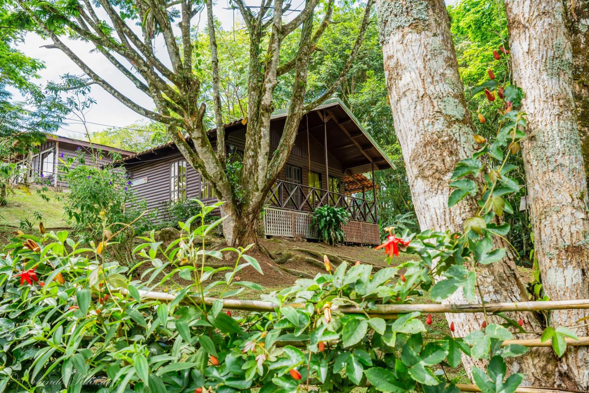 Hospedaje La Naciente Turrialba Exterior foto